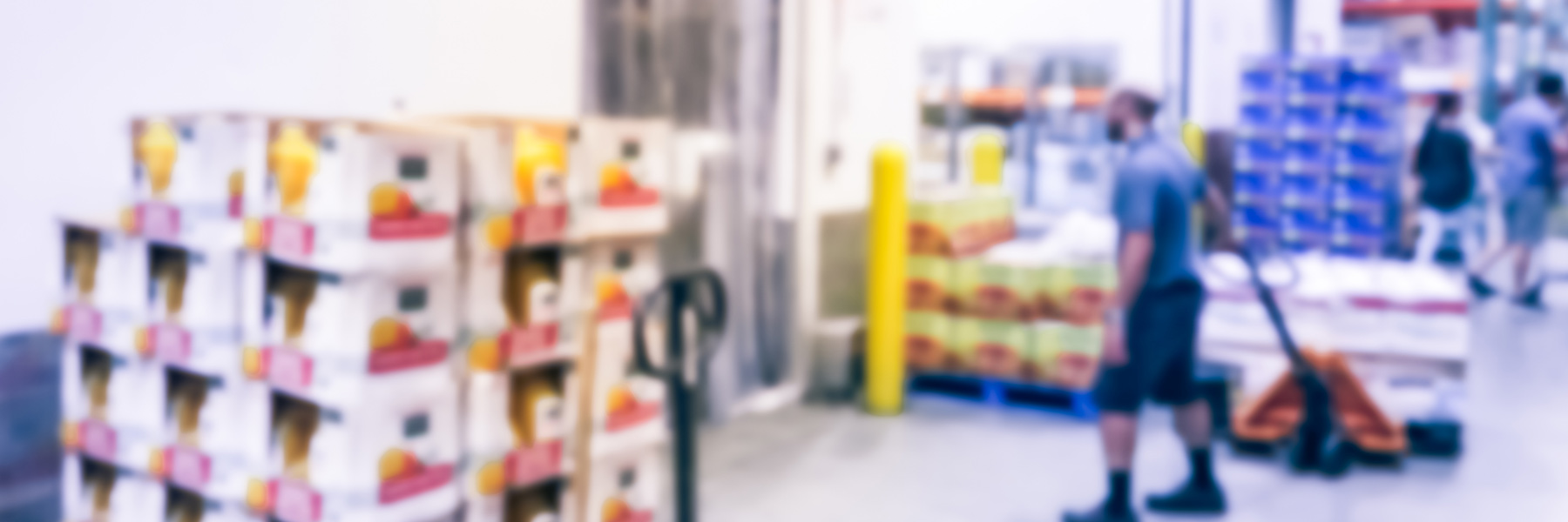 banner4